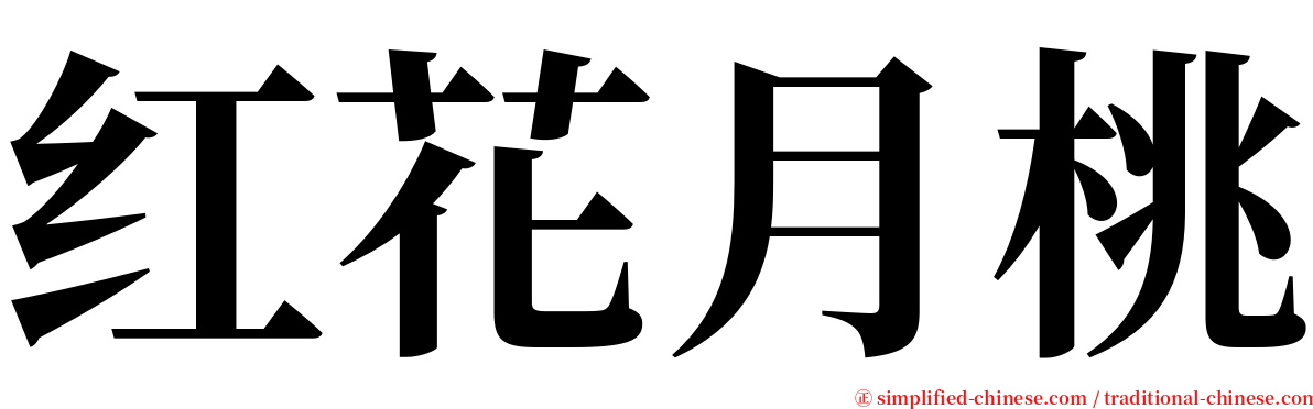 红花月桃 serif font