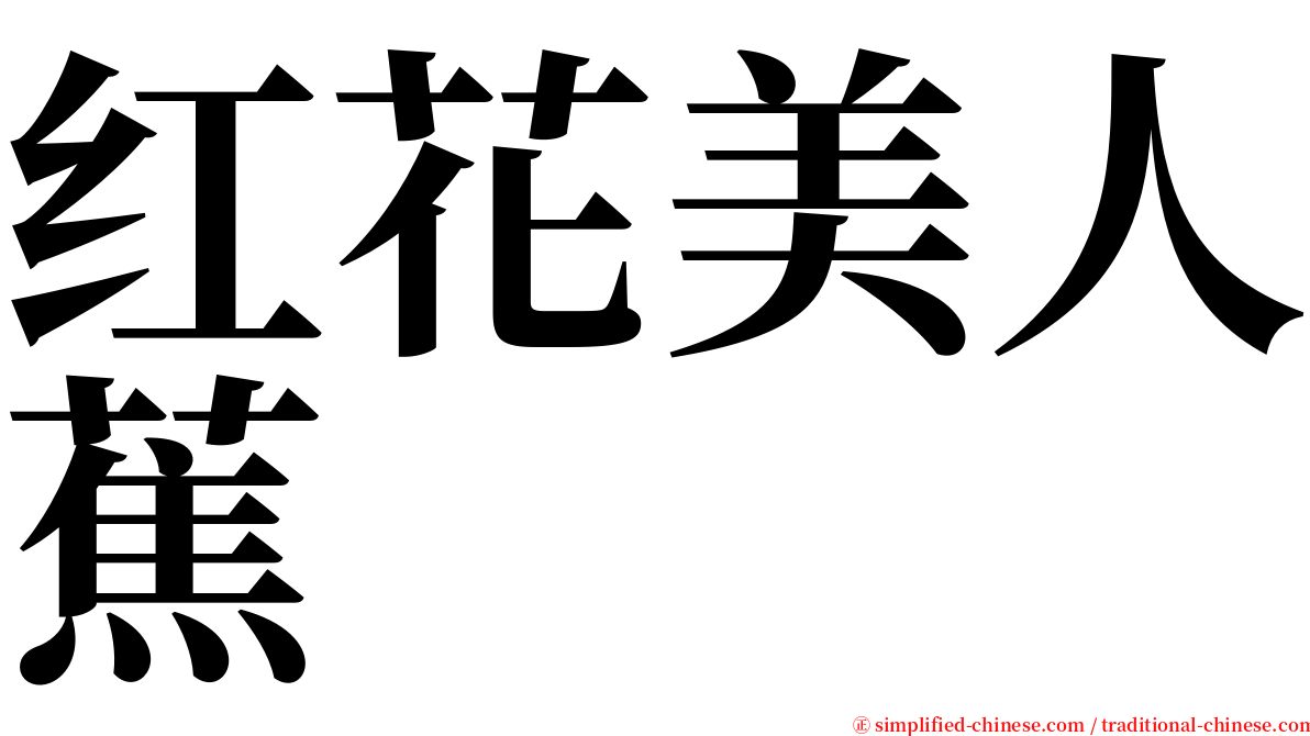 红花美人蕉 serif font