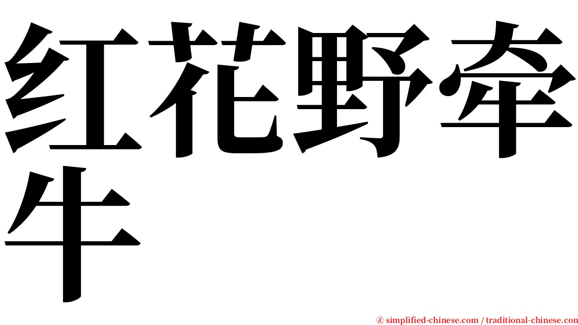 红花野牵牛 serif font