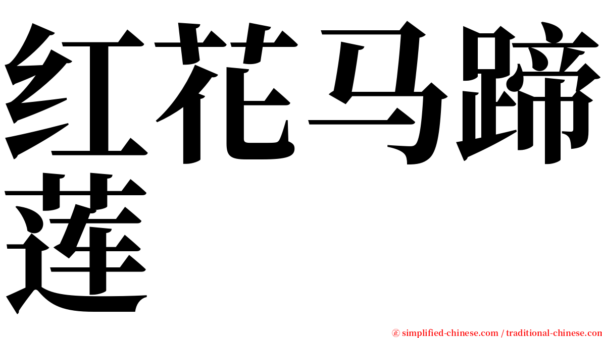 红花马蹄莲 serif font