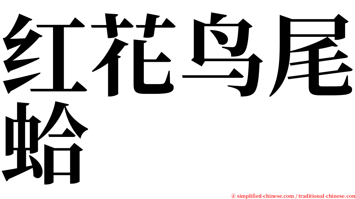 红花鸟尾蛤 serif font