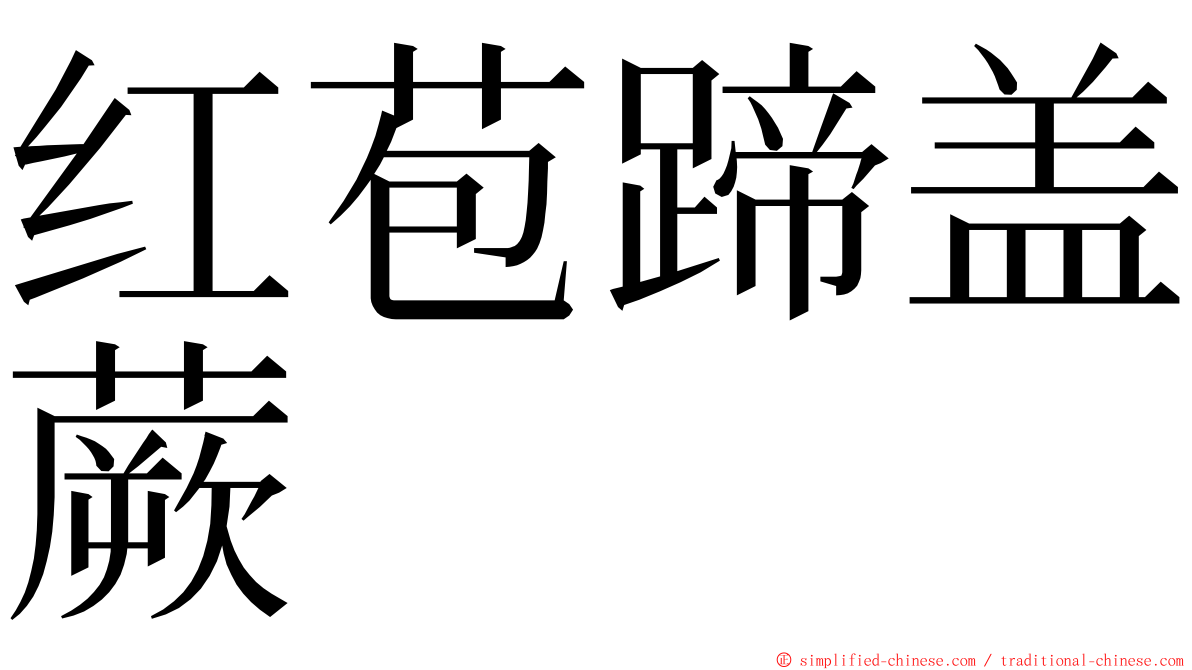 红苞蹄盖蕨 ming font