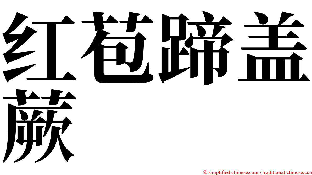 红苞蹄盖蕨 serif font