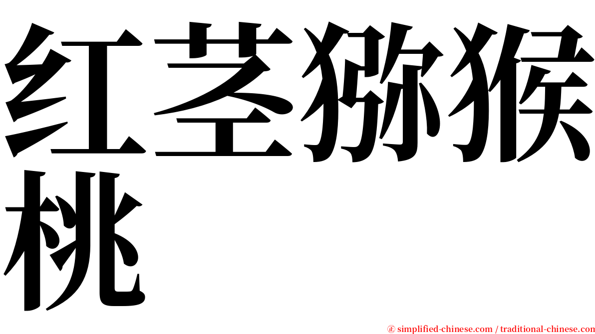 红茎猕猴桃 serif font