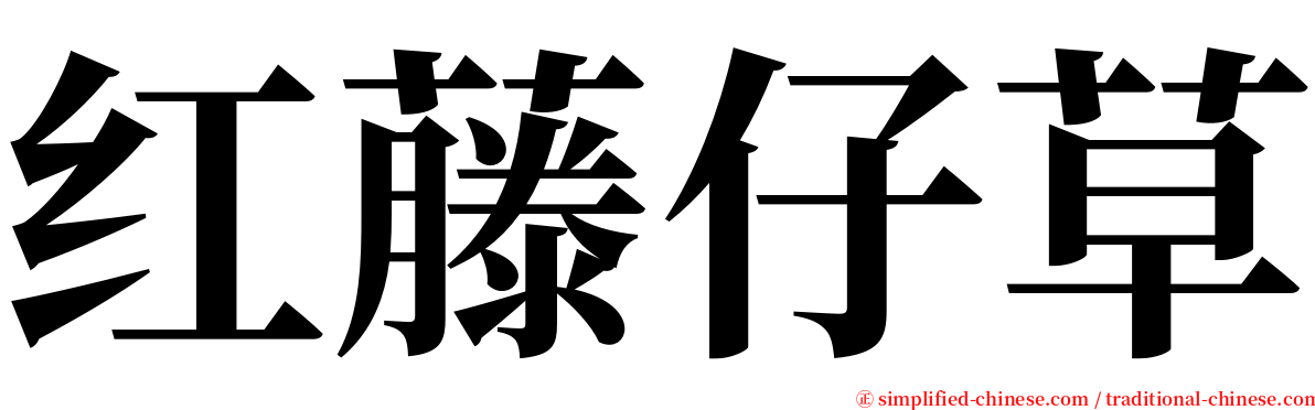 红藤仔草 serif font