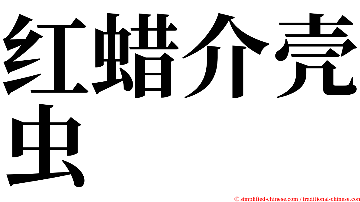 红蜡介壳虫 serif font