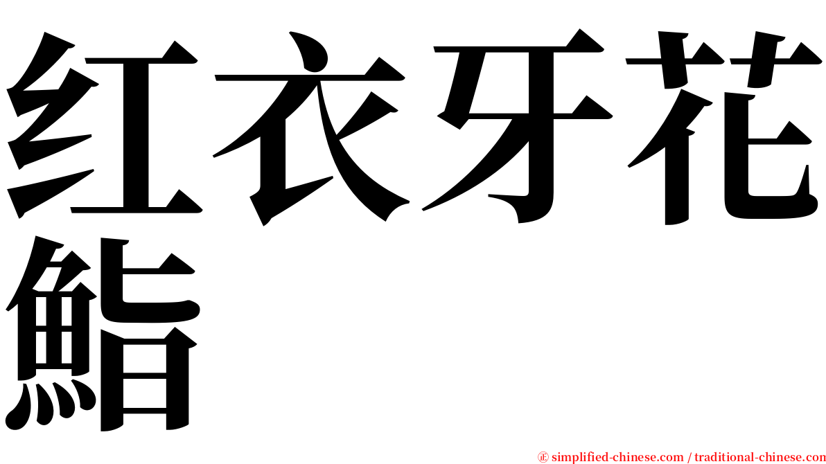 红衣牙花鮨 serif font