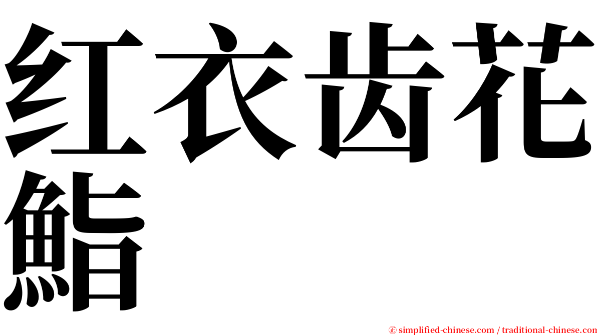 红衣齿花鮨 serif font