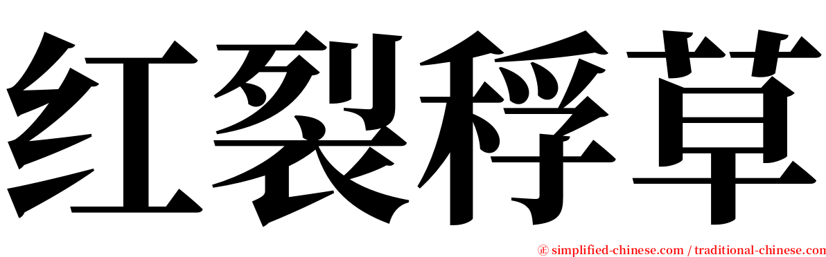 红裂稃草 serif font