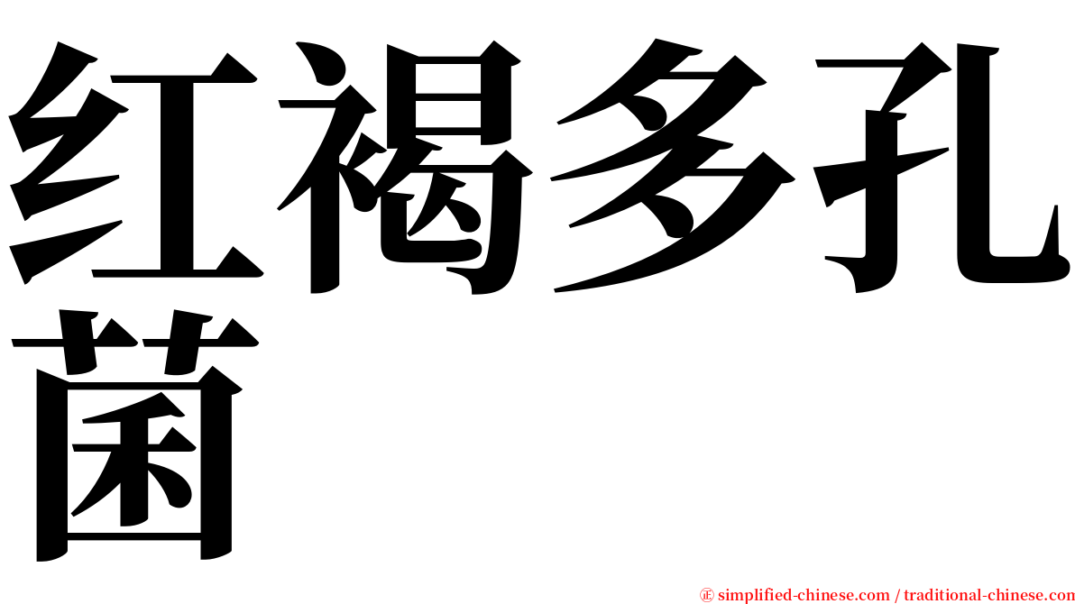 红褐多孔菌 serif font