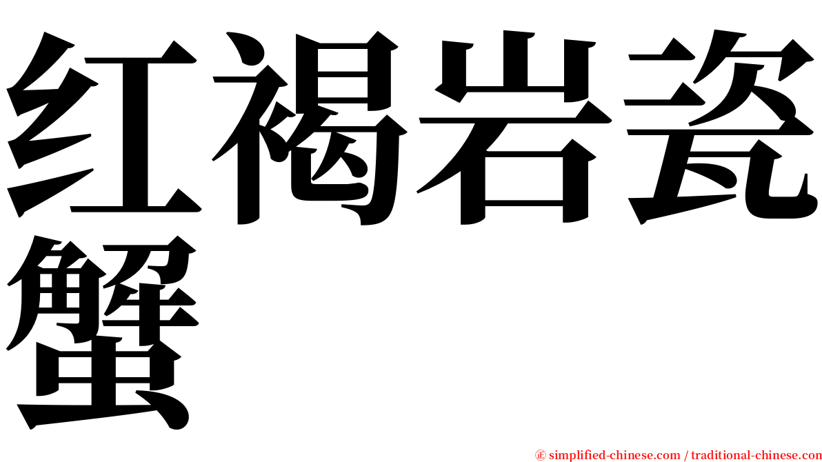 红褐岩瓷蟹 serif font