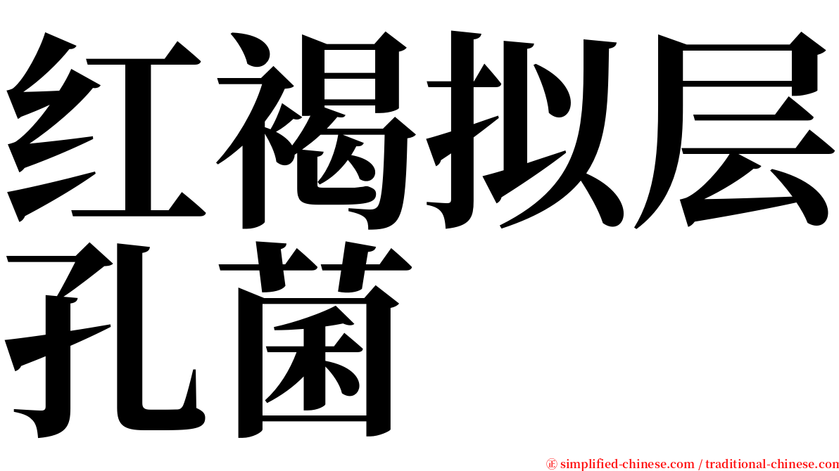 红褐拟层孔菌 serif font