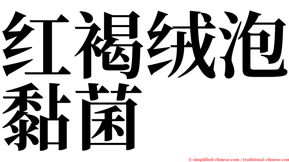 红褐绒泡黏菌 serif font