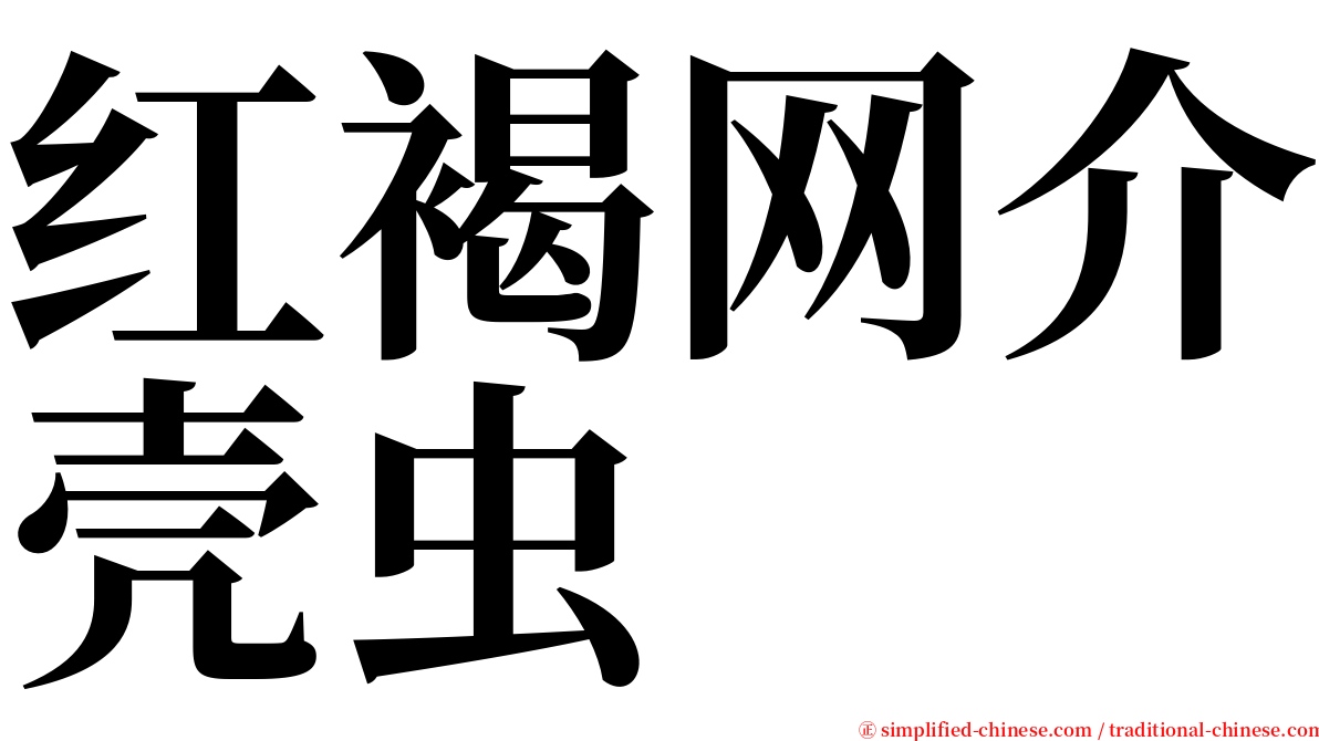 红褐网介壳虫 serif font
