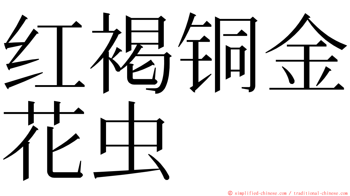 红褐铜金花虫 ming font