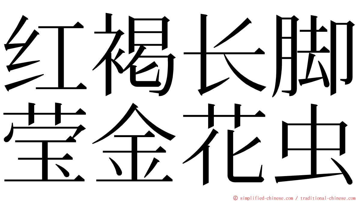 红褐长脚莹金花虫 ming font