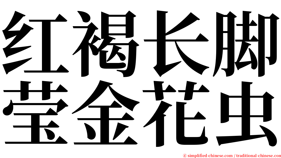 红褐长脚莹金花虫 serif font