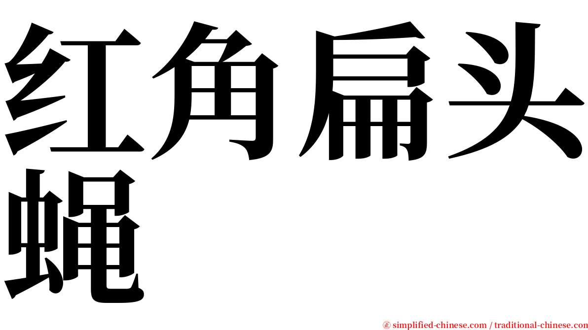 红角扁头蝇 serif font