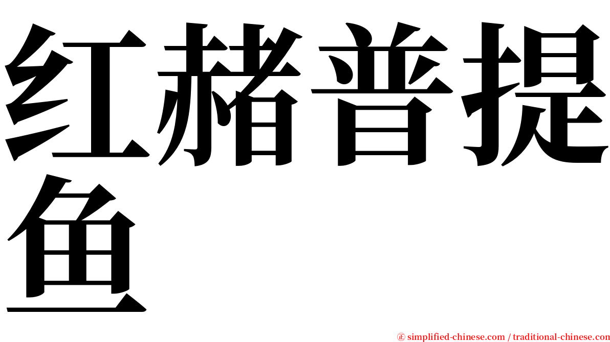 红赭普提鱼 serif font