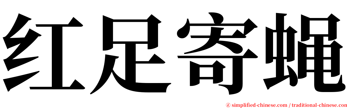 红足寄蝇 serif font