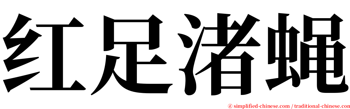 红足渚蝇 serif font