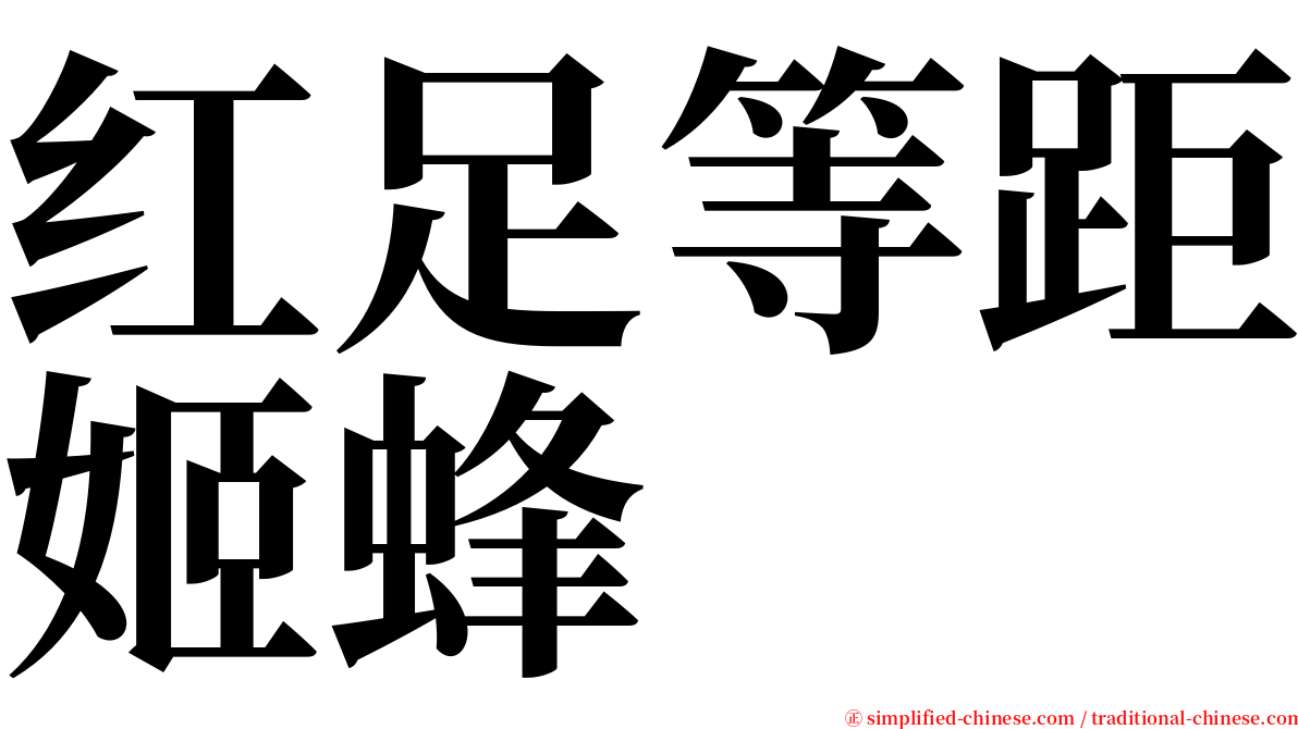 红足等距姬蜂 serif font