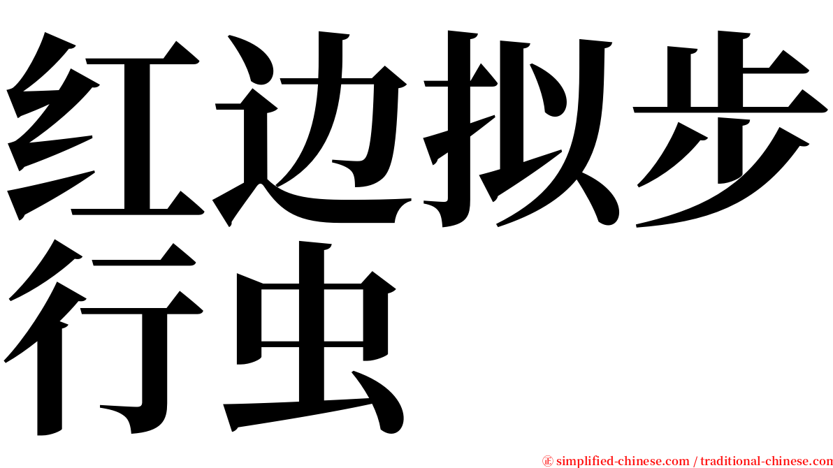 红边拟步行虫 serif font