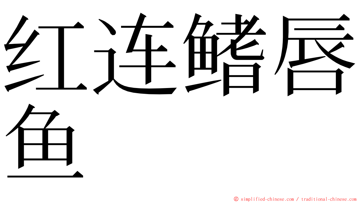 红连鳍唇鱼 ming font