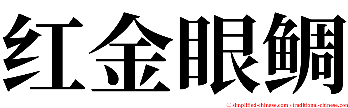 红金眼鲷 serif font