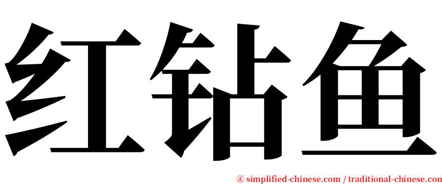 红钻鱼 serif font