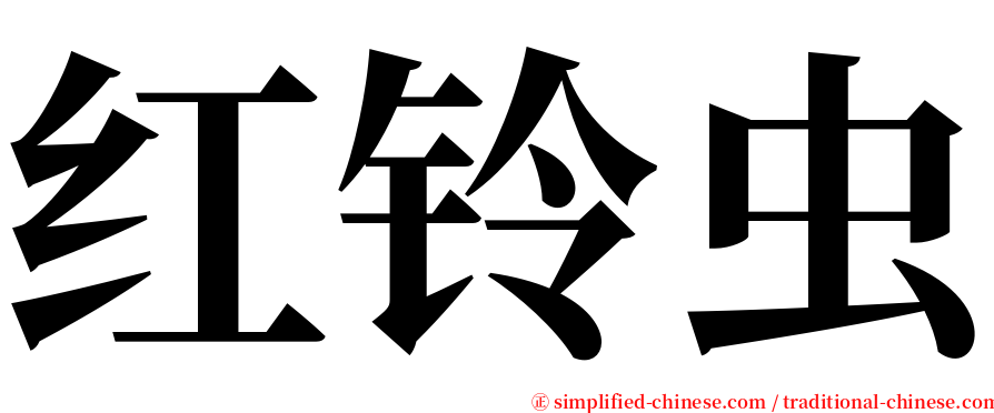 红铃虫 serif font