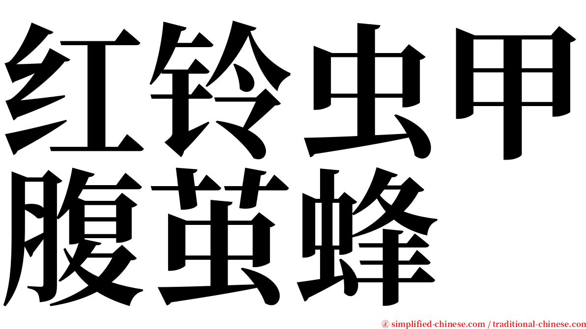 红铃虫甲腹茧蜂 serif font