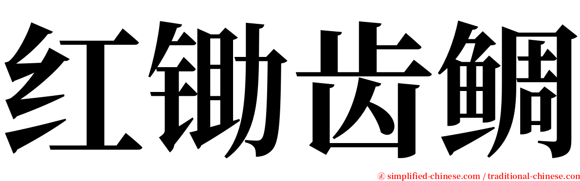 红锄齿鲷 serif font