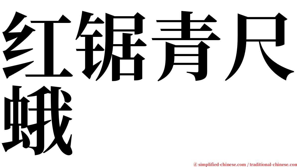 红锯青尺蛾 serif font