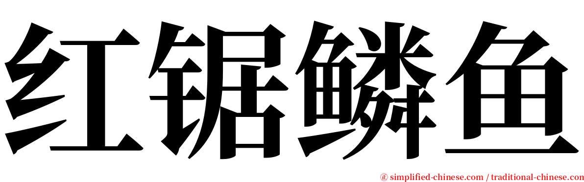 红锯鳞鱼 serif font