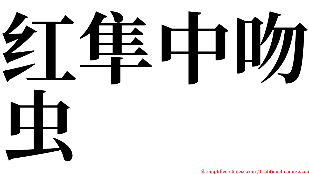 红隼中吻虫 serif font