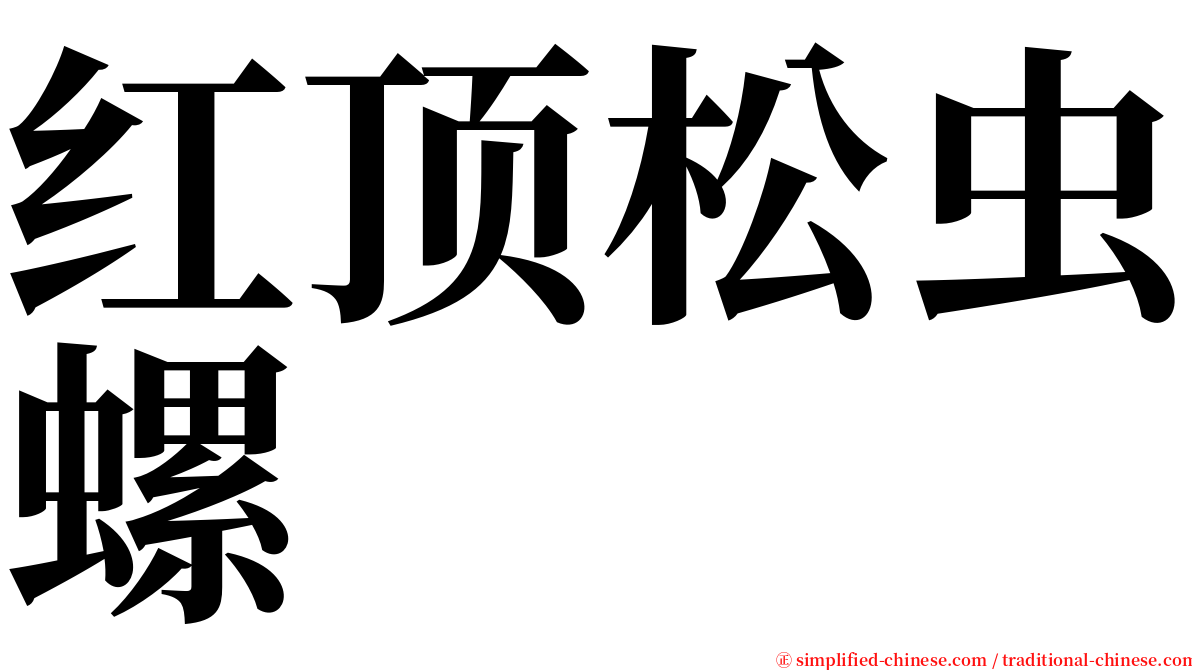 红顶松虫螺 serif font