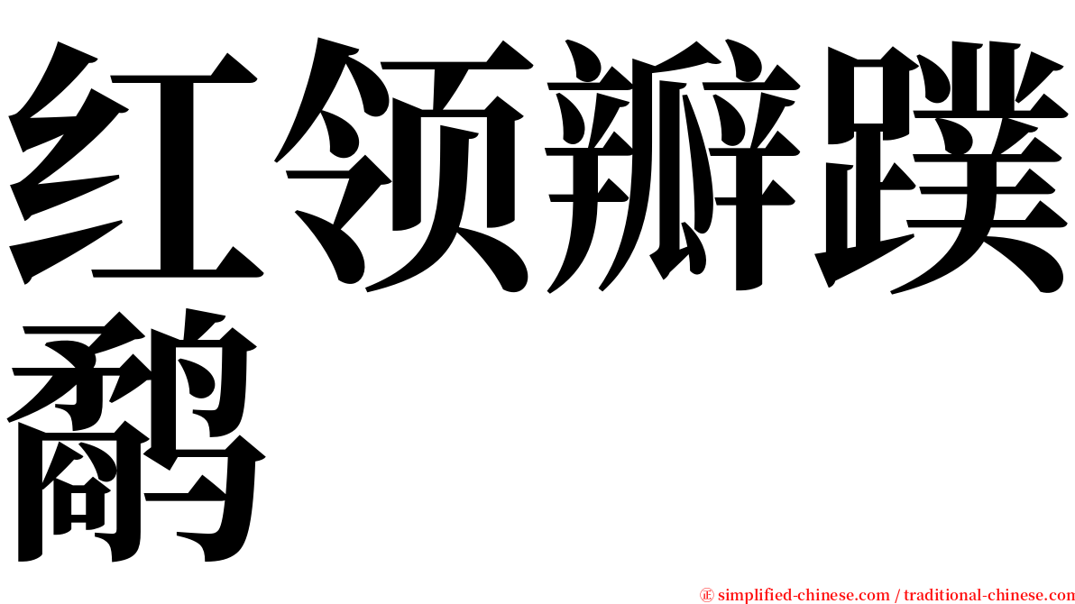 红领瓣蹼鹬 serif font