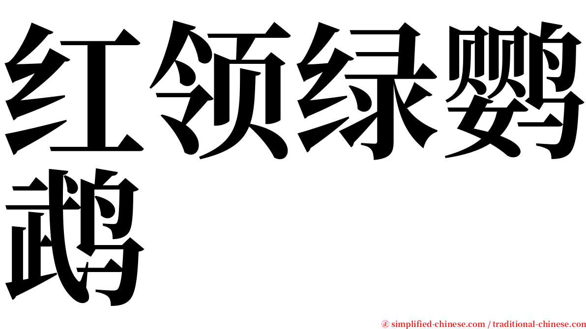 红领绿鹦鹉 serif font