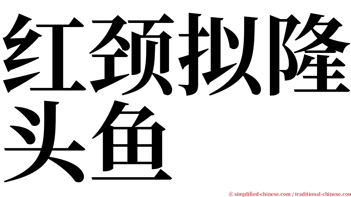 红颈拟隆头鱼 serif font