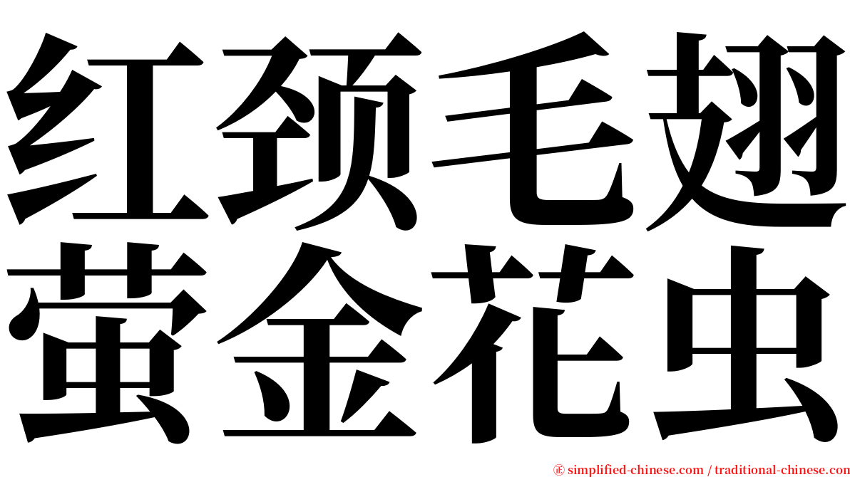 红颈毛翅萤金花虫 serif font