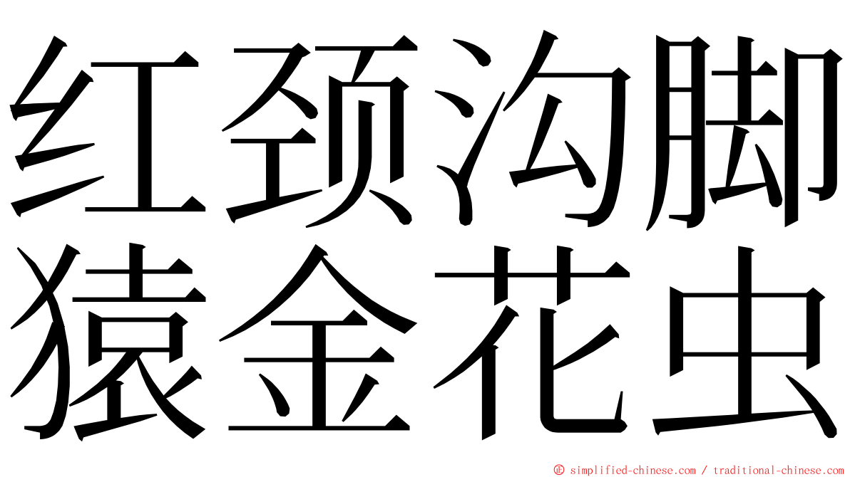 红颈沟脚猿金花虫 ming font