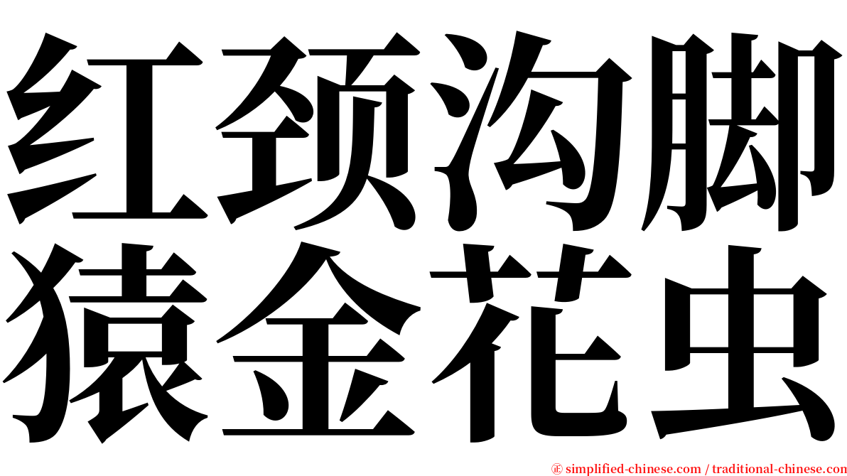 红颈沟脚猿金花虫 serif font