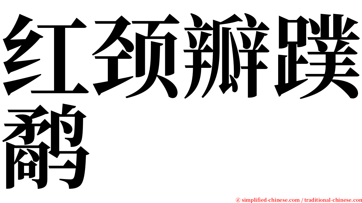 红颈瓣蹼鹬 serif font