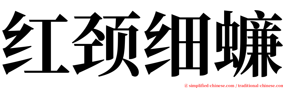 红颈细蠊 serif font