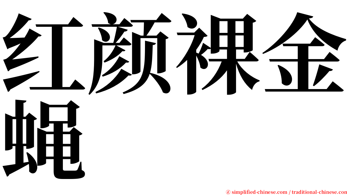 红颜裸金蝇 serif font