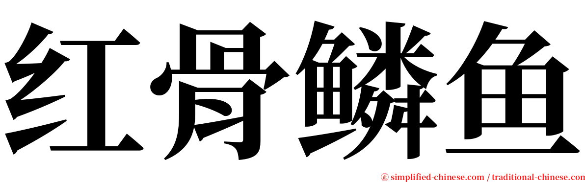 红骨鳞鱼 serif font