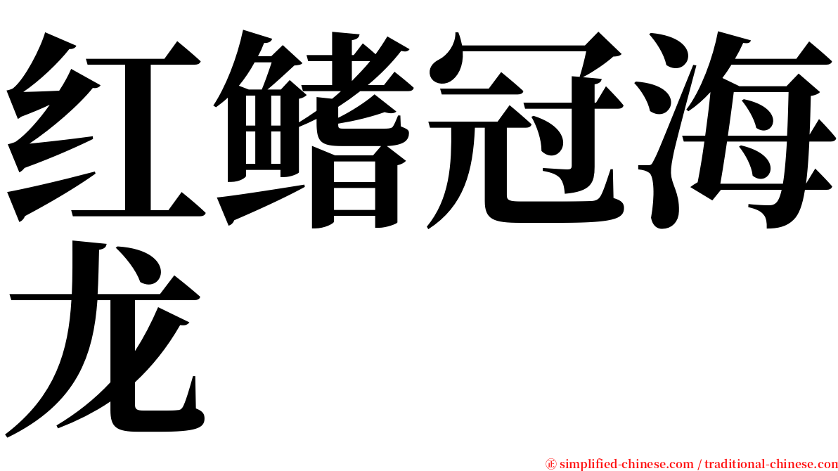 红鳍冠海龙 serif font