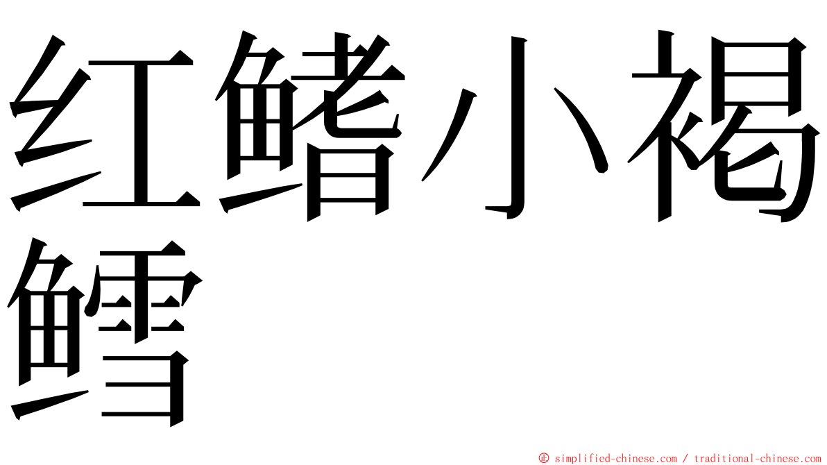 红鳍小褐鳕 ming font