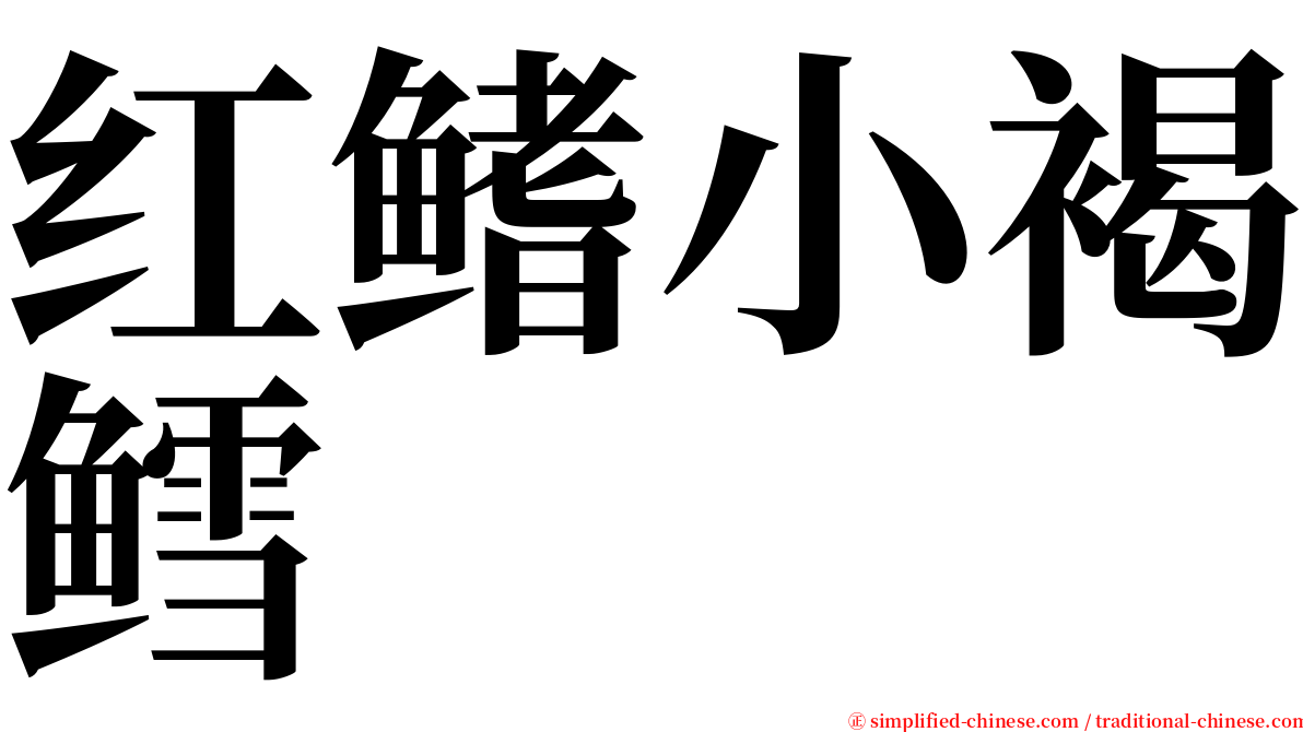 红鳍小褐鳕 serif font